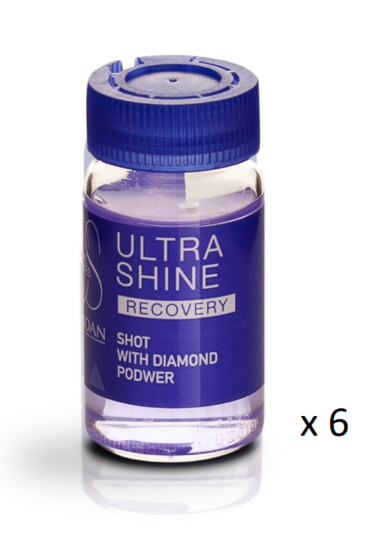 Lendan Ultra Shine Recovery Volumen y Brillo (6 x 10 ml)