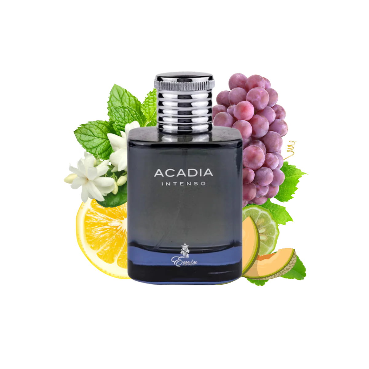 Paris Corner Emir Acadia Intenso Eau de Parfum para hombre 100 ml
