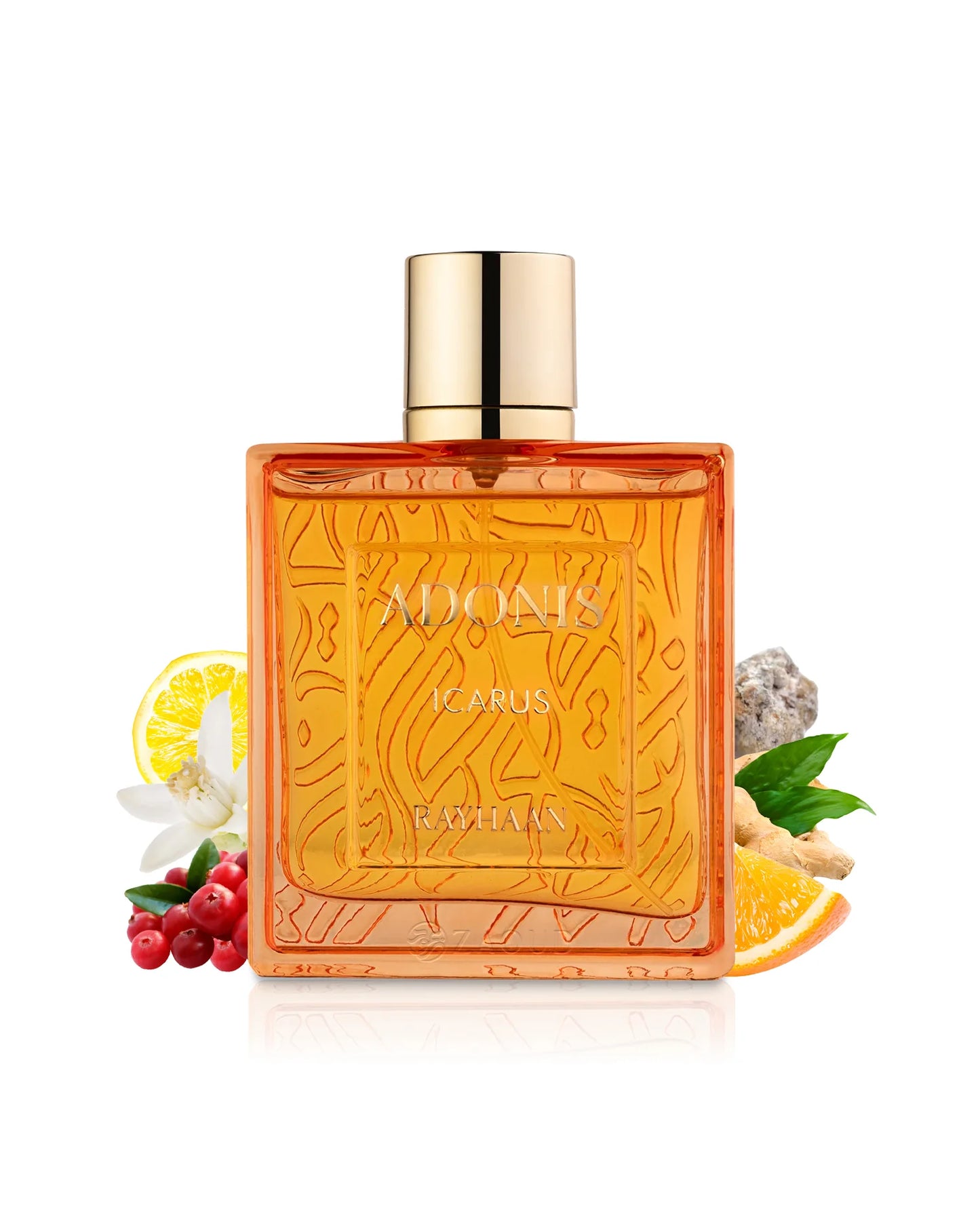 Rayhaan Adonis Icarus – Eau de Parfum Hombre - Cítrico & Aromático